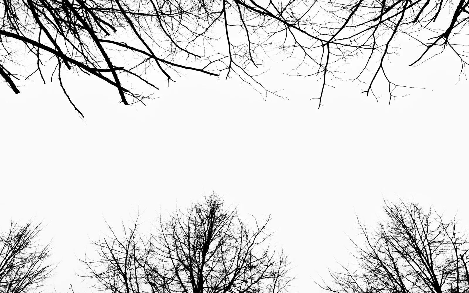 Serie Mirar hacia arriba / Looking Up — Ani Casset